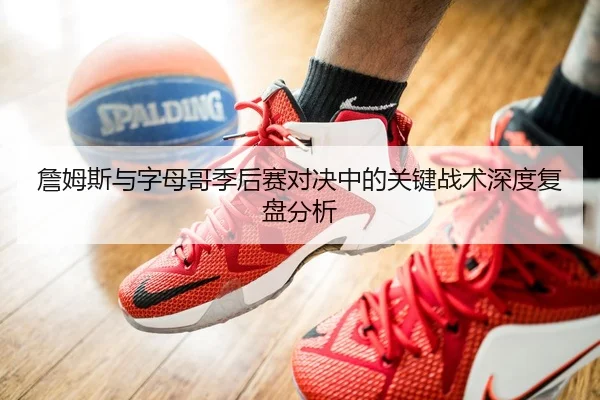 詹姆斯与字母哥季后赛对决中的关键战术深度复盘分析